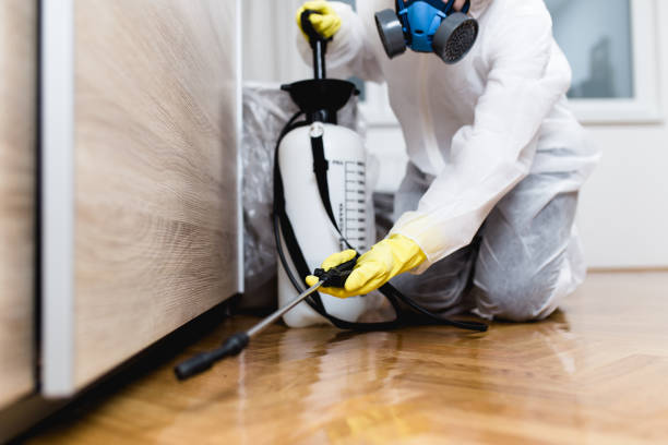 Best Local Pest Control Services  in Anderson Creek, NC