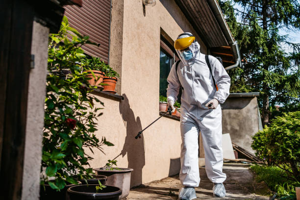 Best Wasp Removal Services  in Anderson Creek, NC