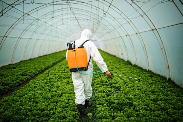 Best Pest Removal Services  in Anderson Creek, NC