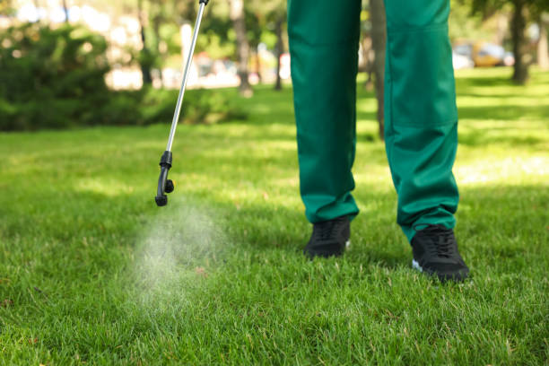 Best Cockroach Control Services  in Anderson Creek, NC