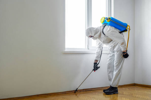 Best Bed Bug Extermination  in Anderson Creek, NC