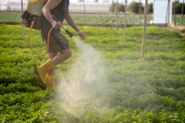 Best Affordable Pest Control Services  in Anderson Creek, NC
