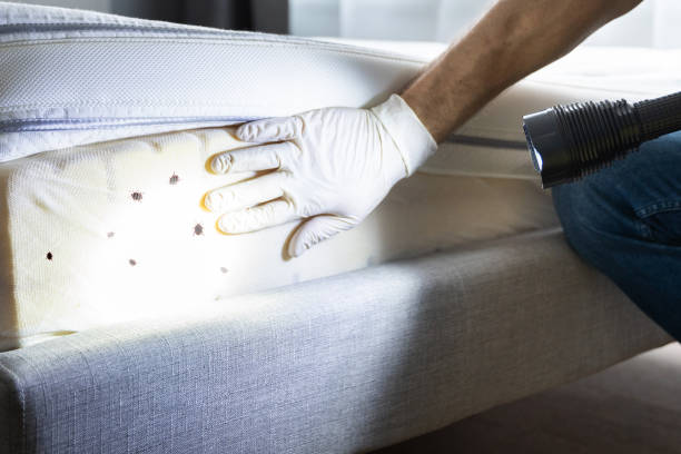 Best Rat Extermination Near Me  in Anderson Creek, NC