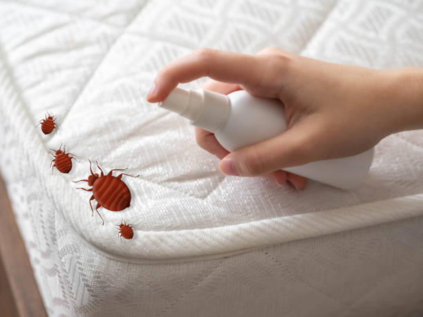 Best Exterminator Services  in Anderson Creek, NC